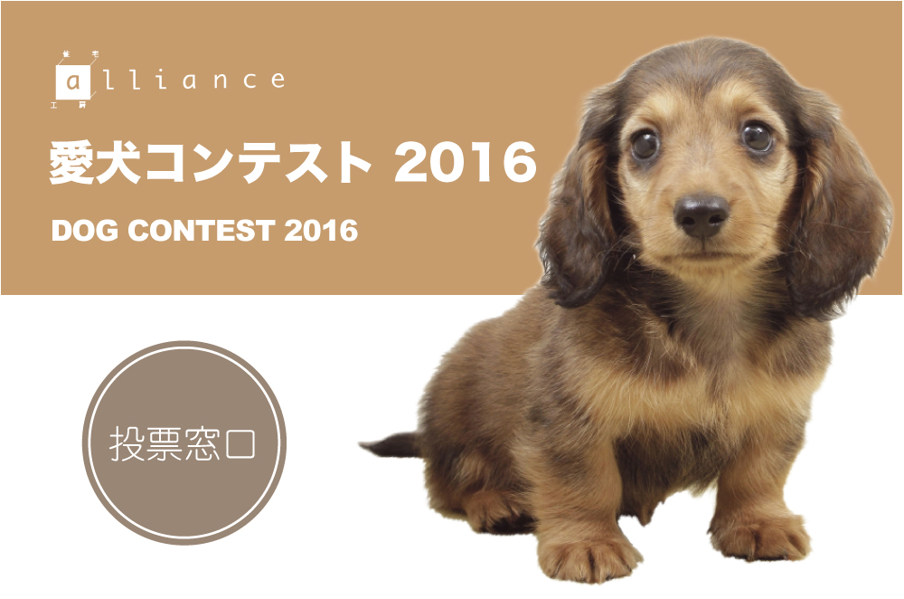 alliance_dog_contest